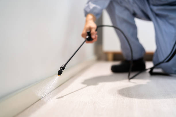 Licensed Termite Control service in Fairmont, NC - Nex Pest Control