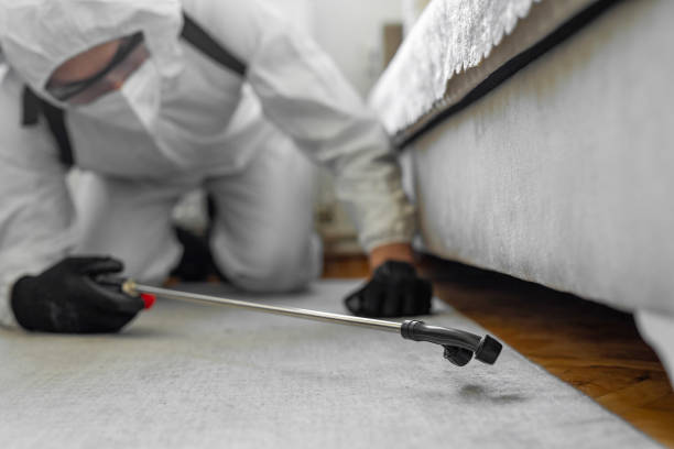 Professional Termite Control technician working in Fairmont, NC