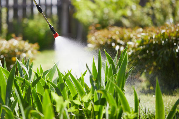 24/7 Emergency Termite Control experts in Fairmont, NC