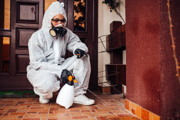 Reliable Termite Control contractor in Fairmont, NC by Nex Pest Control