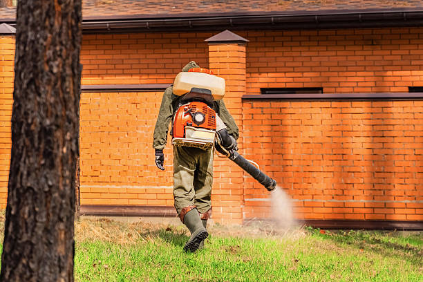 Top rated local Termite Control specialists in Fairmont, NC